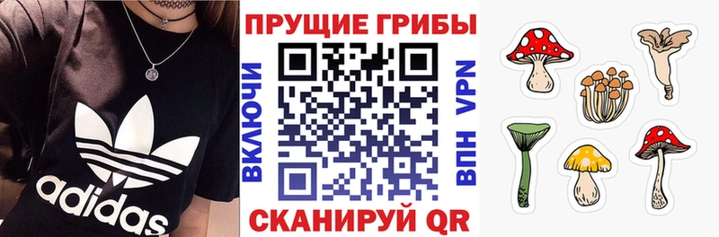 Галлюциногенные грибы Psilocybe  Ялуторовск 